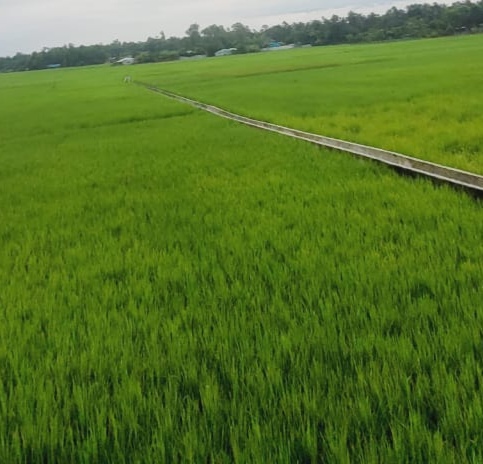 জনাব মওলানা আবদুল গনি